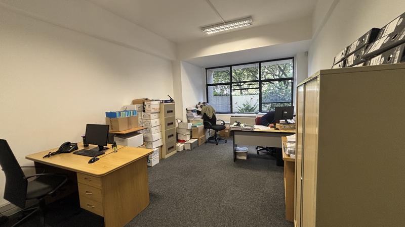 To Let commercial Property for Rent in Observatory Western Cape